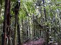 17b - Parc des Mamelles - Marche 010